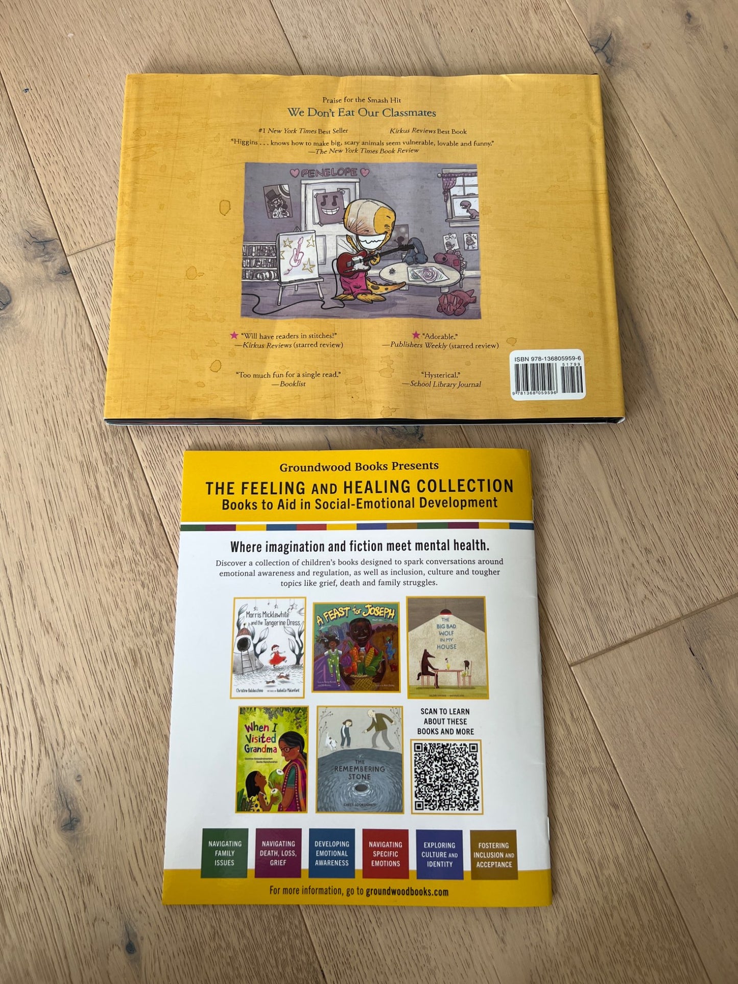 Grade school picture book bundle