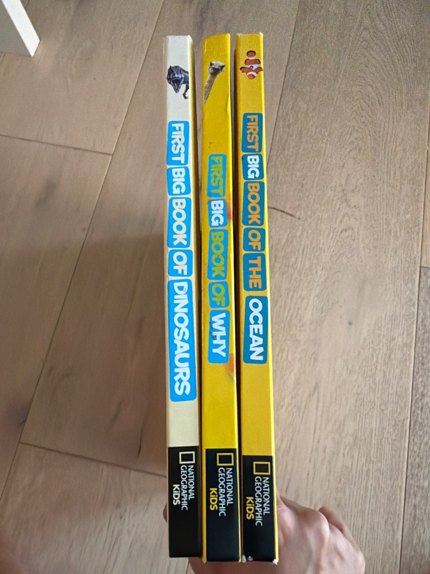 National Geographic Kids First Big Book of bundle (x3)