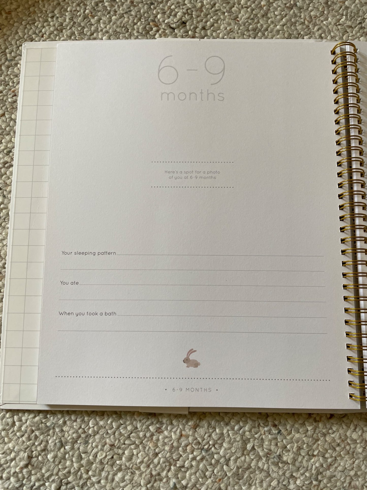 Baby Journal NWT