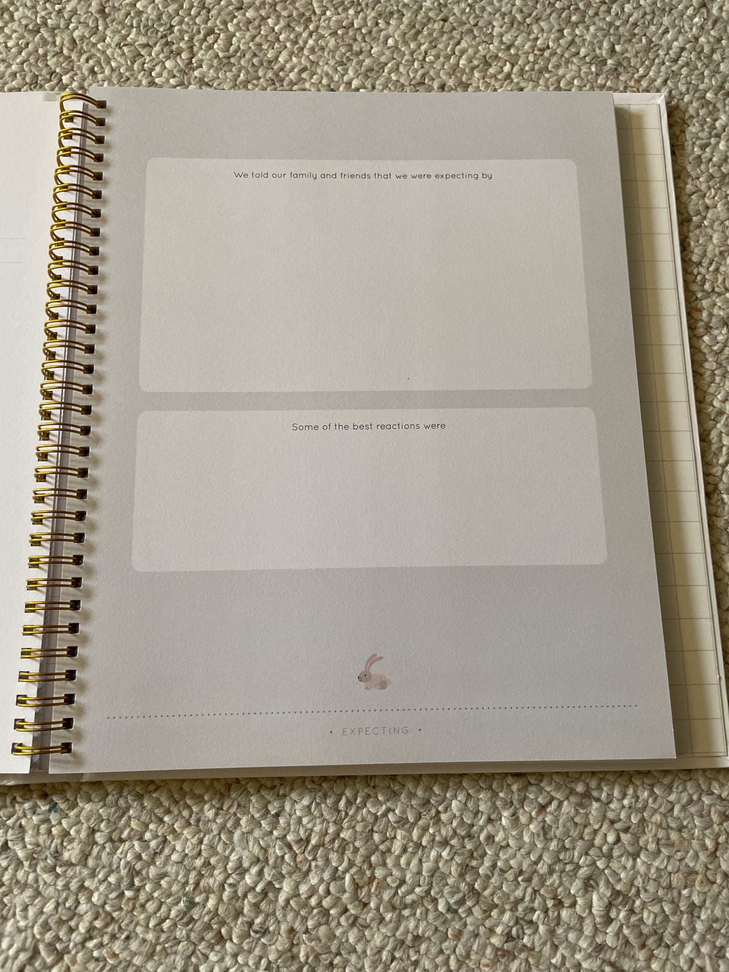 Baby Journal NWT