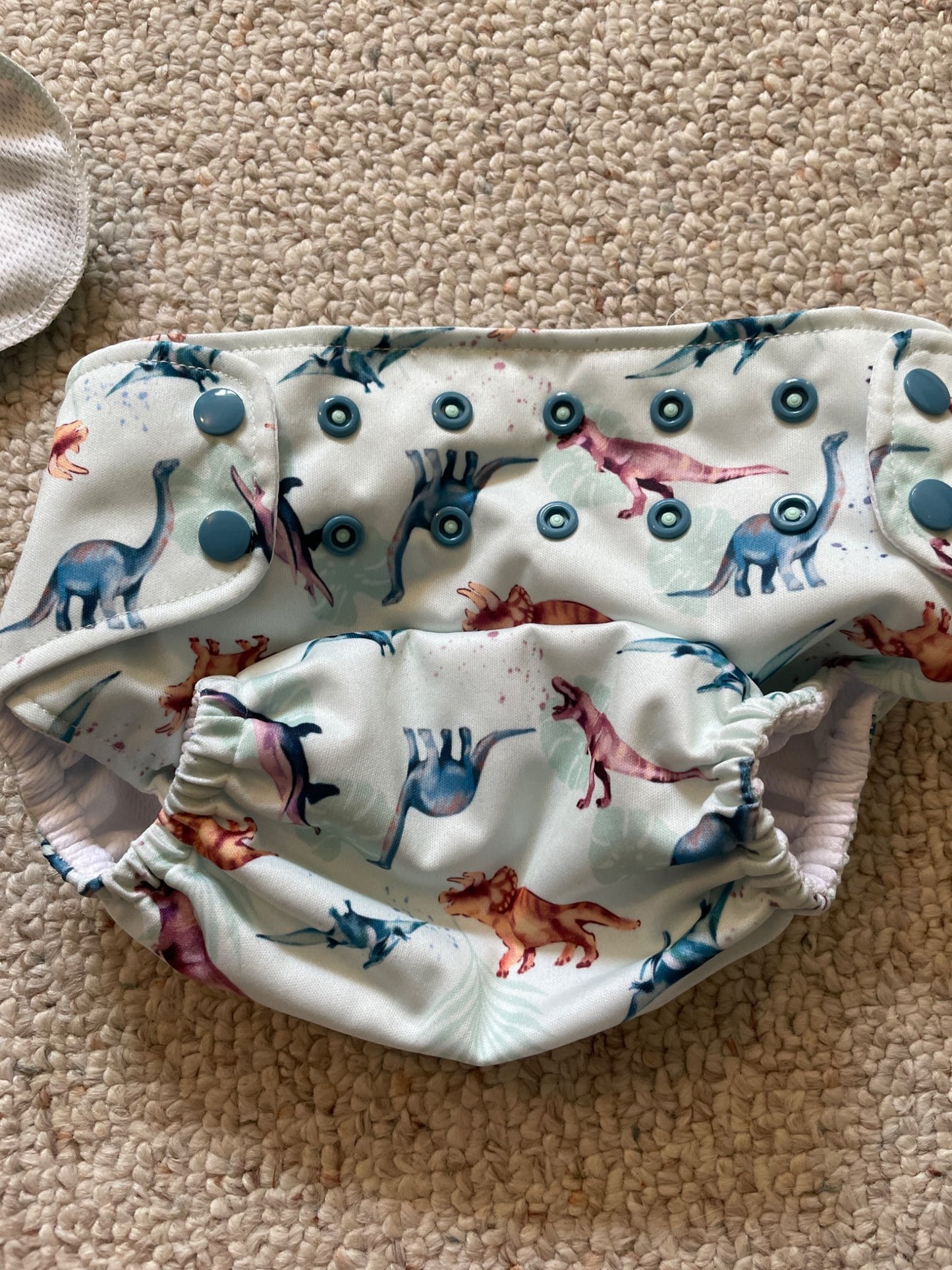 Cloth Diaper x2