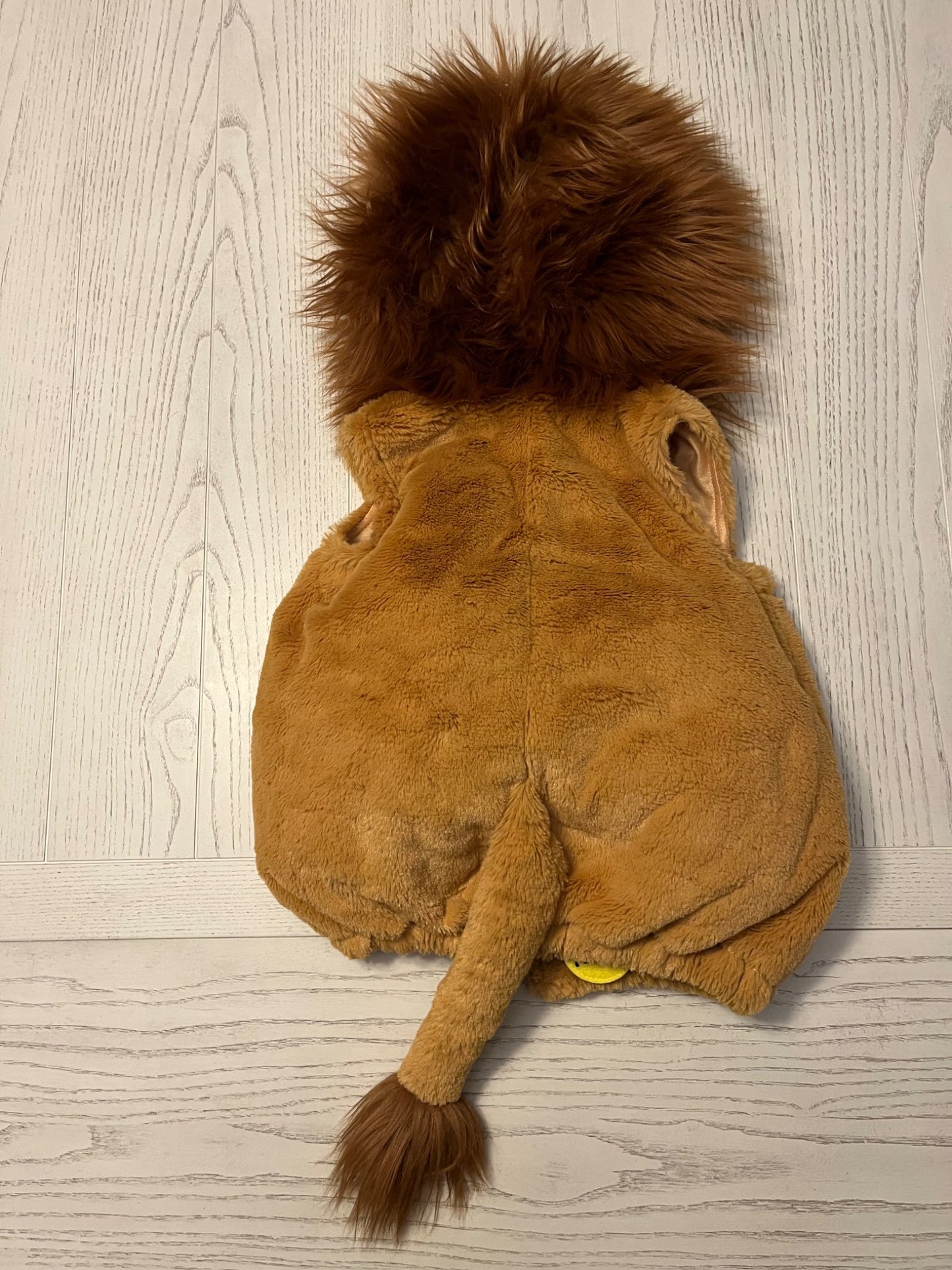 Lion Costume, 6-9 months, Kids 9 Month (6-9M)