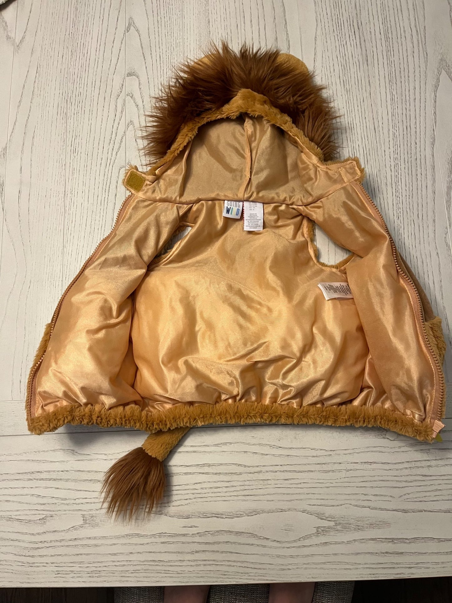 Lion Costume, 6-9 months, Kids 9 Month (6-9M)
