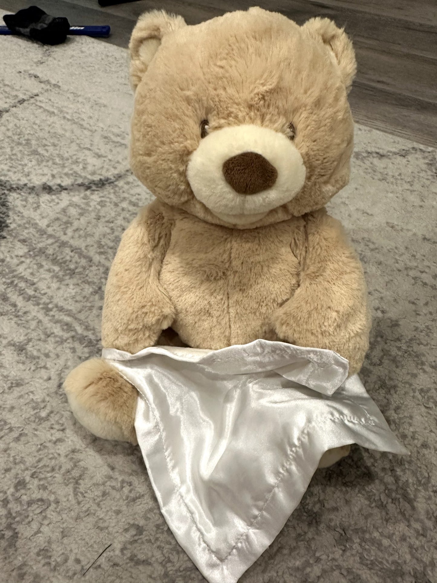 Baby GUND Peekaboo Teddy Bear