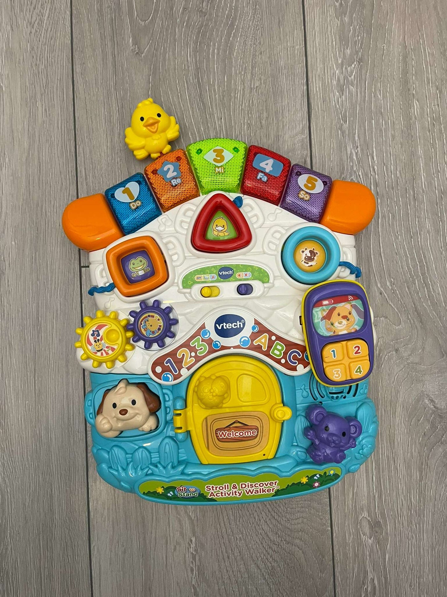 VTech Stroll and Discover Activity Walker