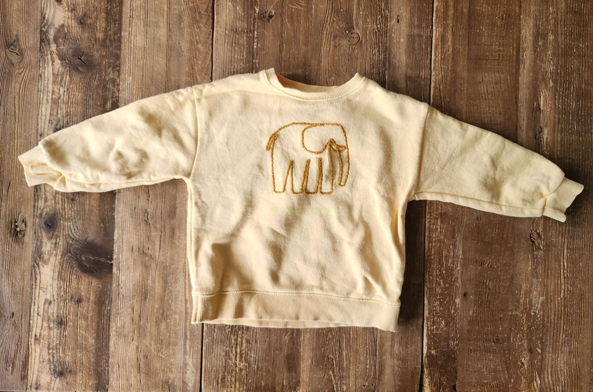 Zara elephant shirt, 2-3T, like new, Kids 2T
