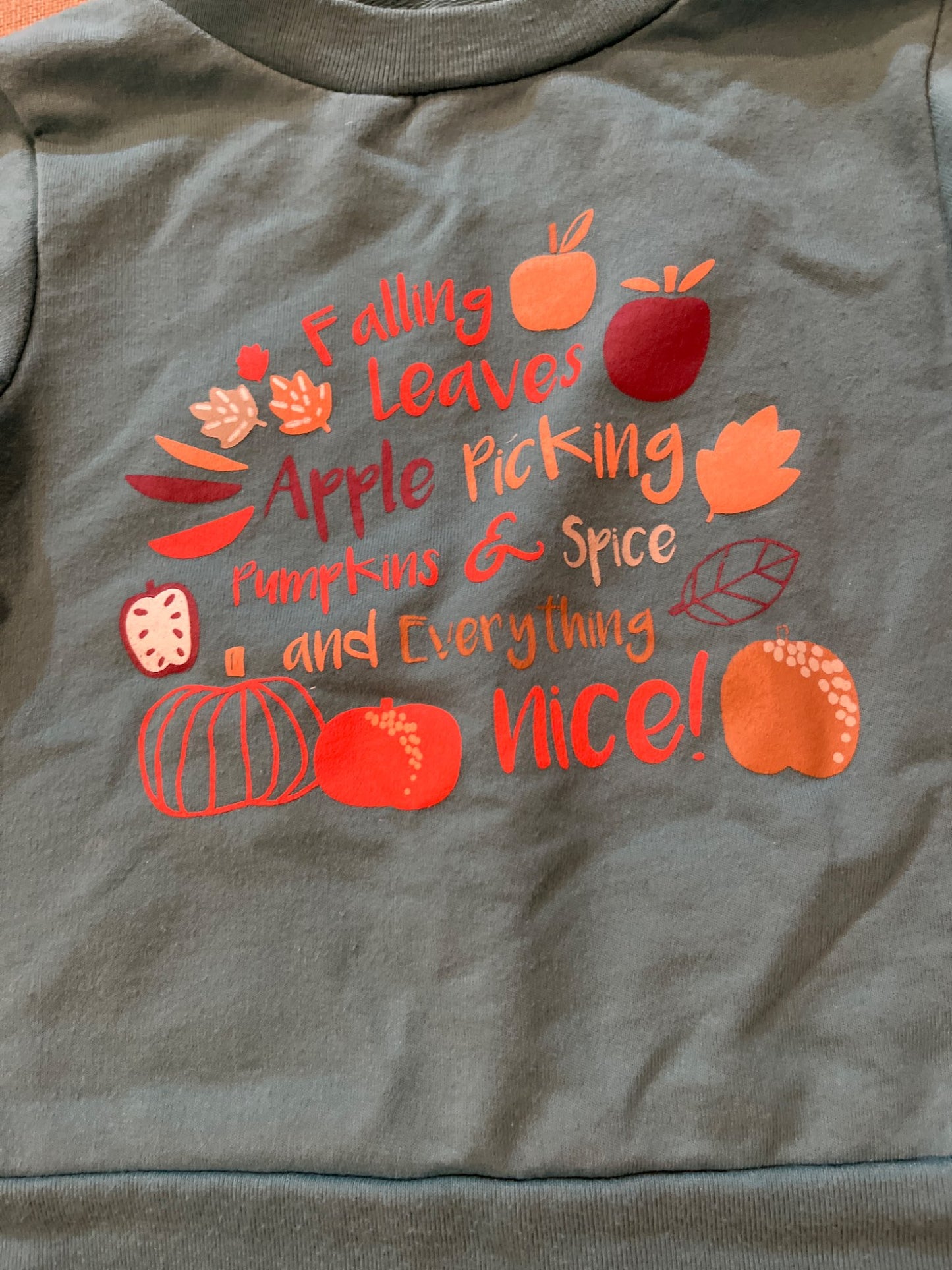 Cozy Fall Sweater , Kids 18 Month (12-18M)