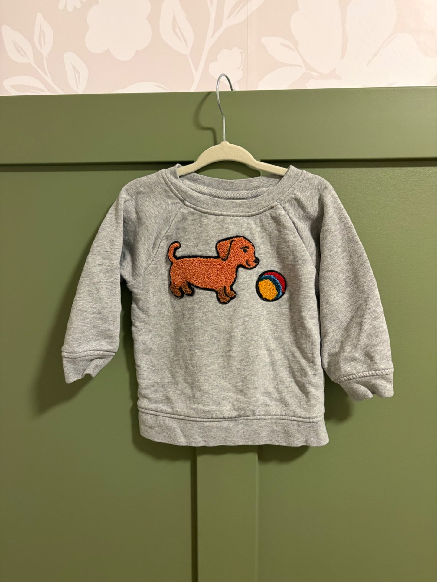 Hanna Andersson crewneck, Kids 2T