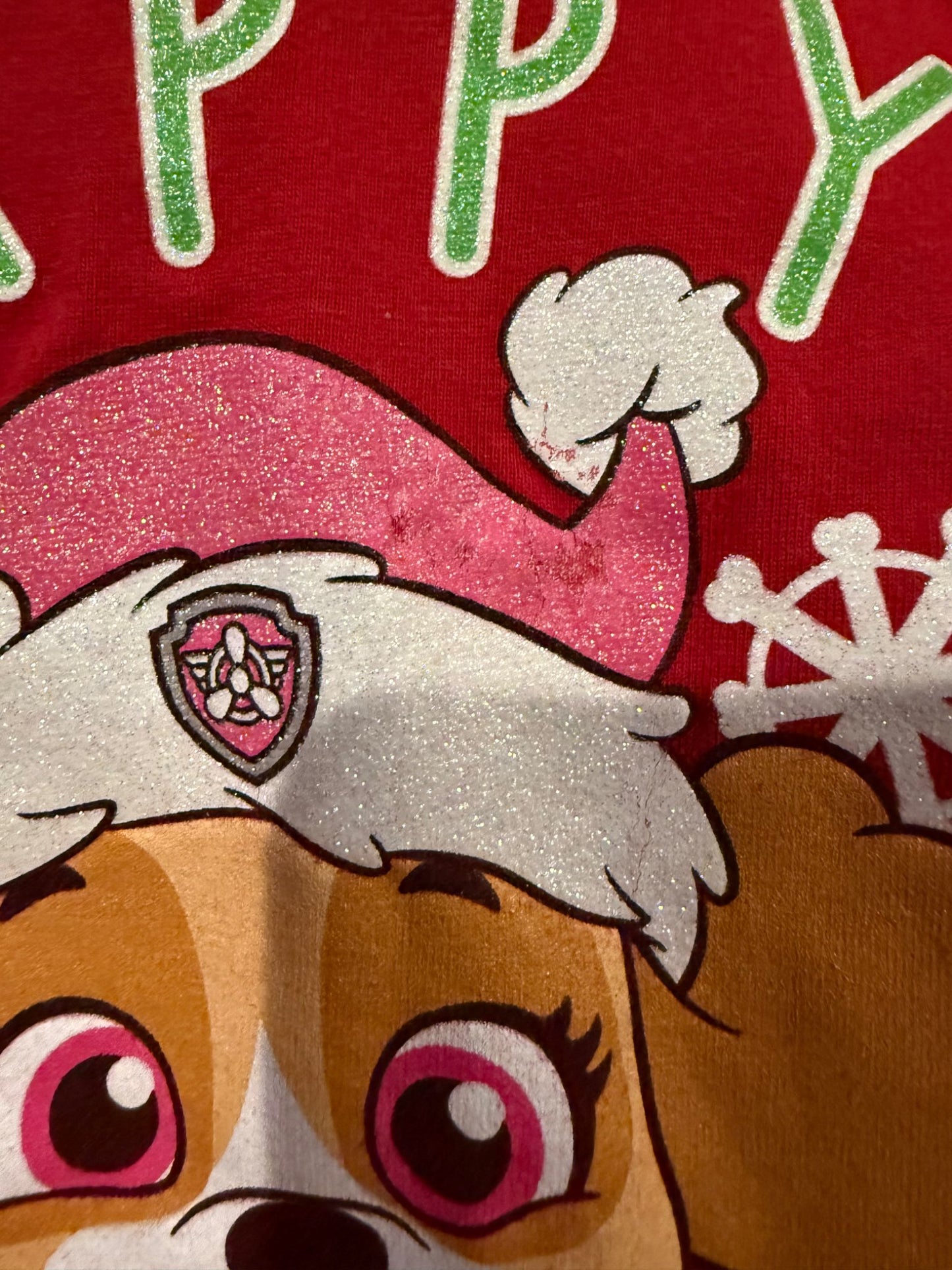 Paw Patrol holiday shirt, Kids 5/5T (extra small)