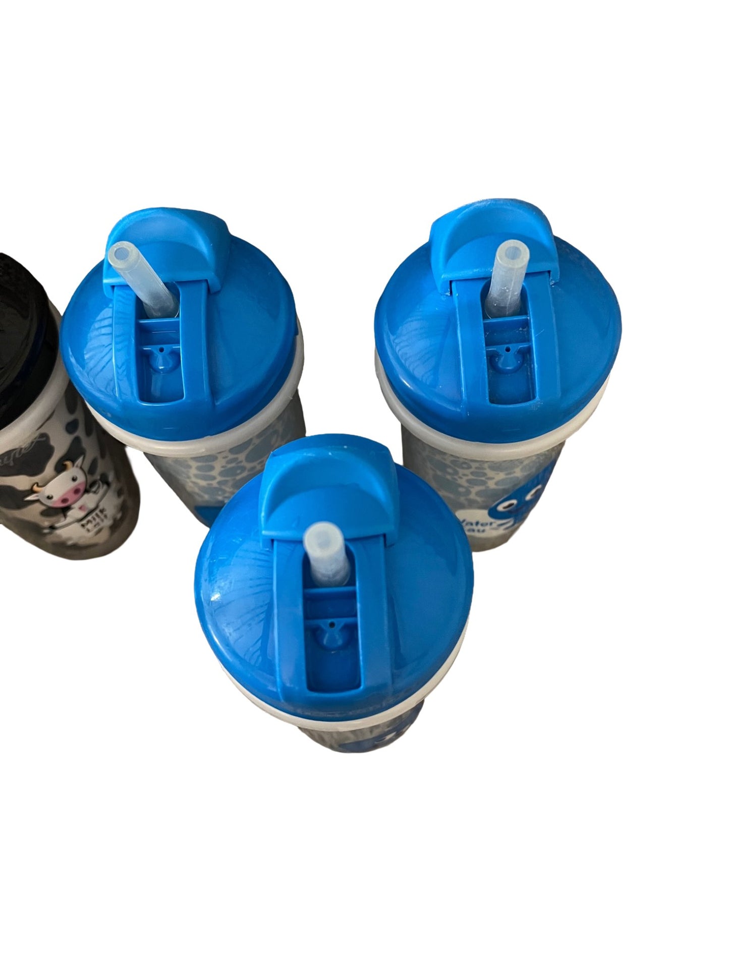 Playtex sipster toddler cups (for all 6)