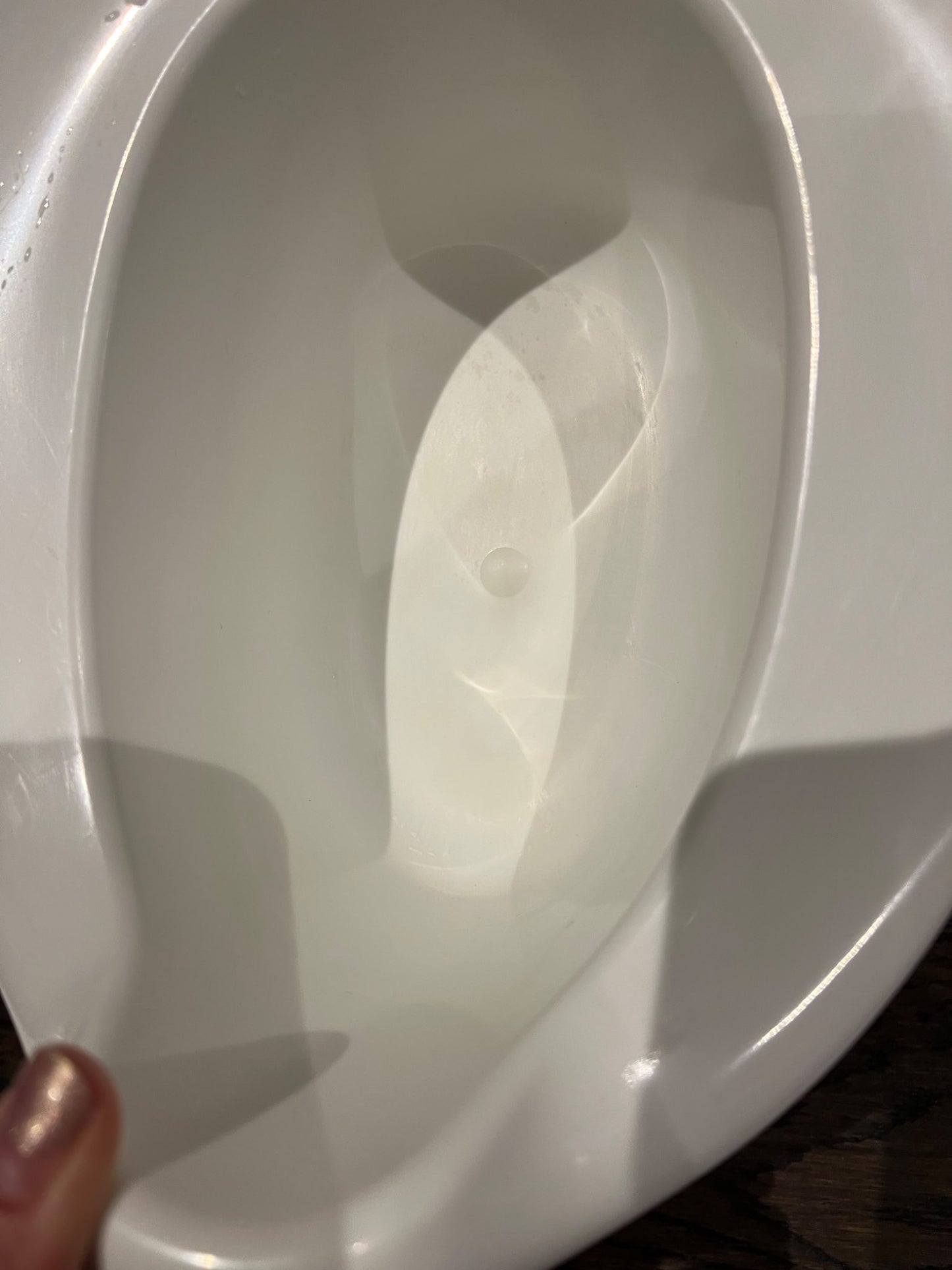 Baby Bjorn potty