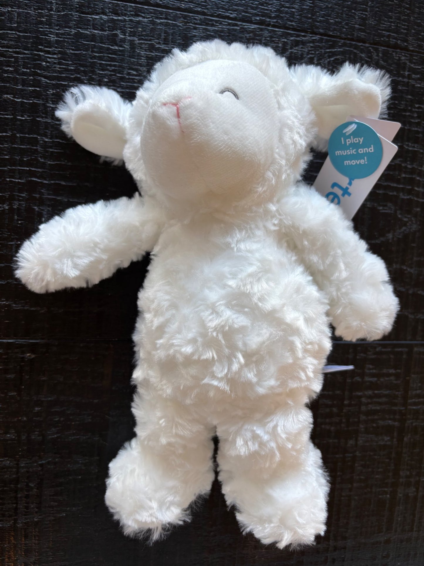 Carter’s Muscial Lamb Plush