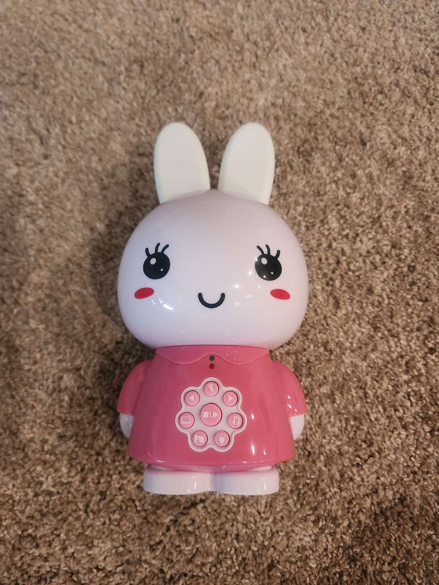 Talking Bunny with Songs