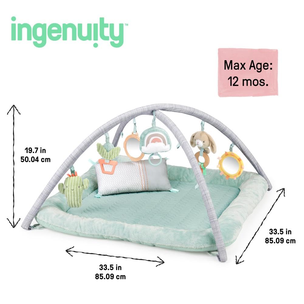 Ingenuity Calm Springs Plush Activity Gym for Baby, Ultra-Soft Premium Mat, Toys