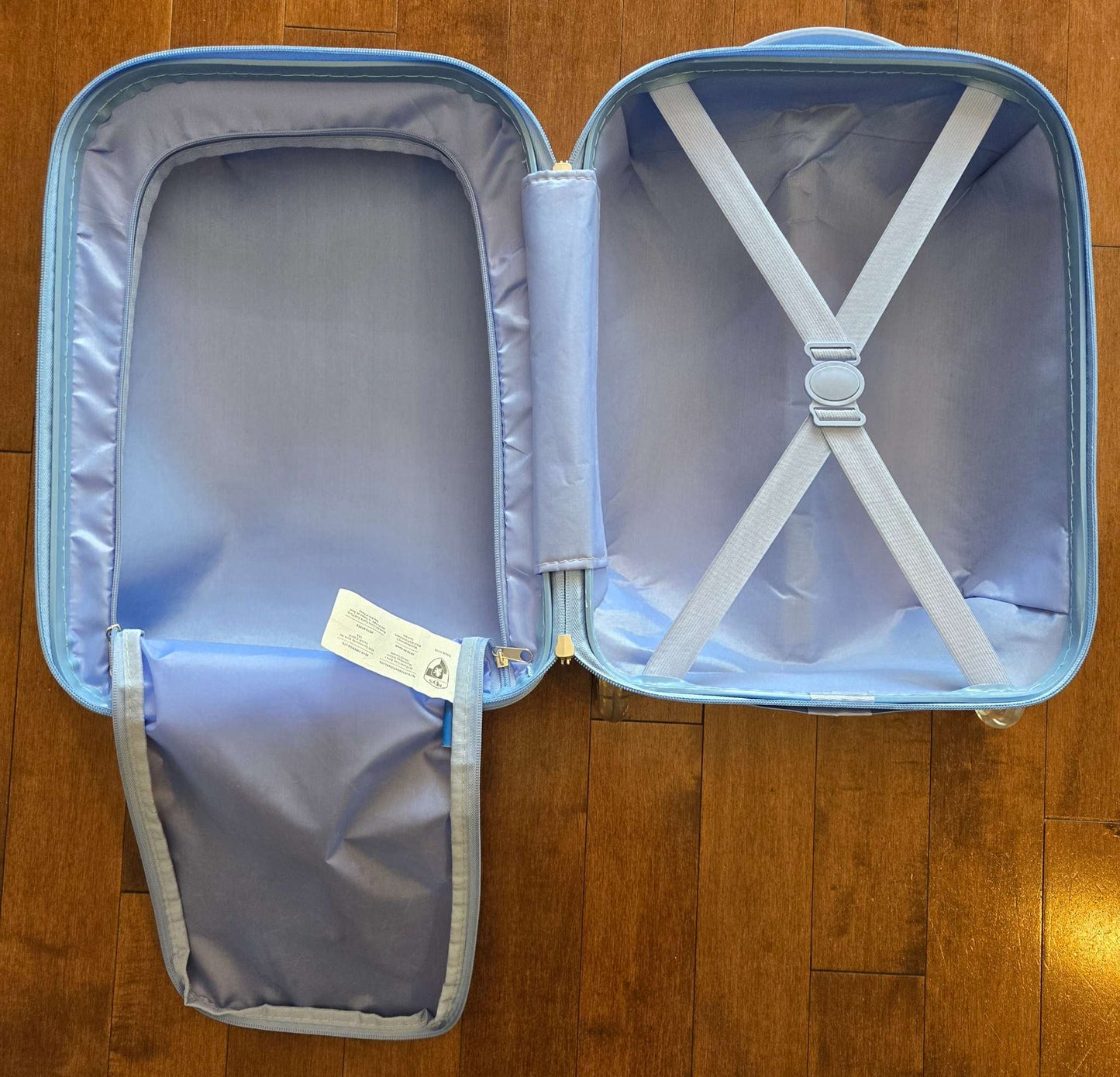 Heys Frozen Elsa carry-on suitcase (retails for $70)