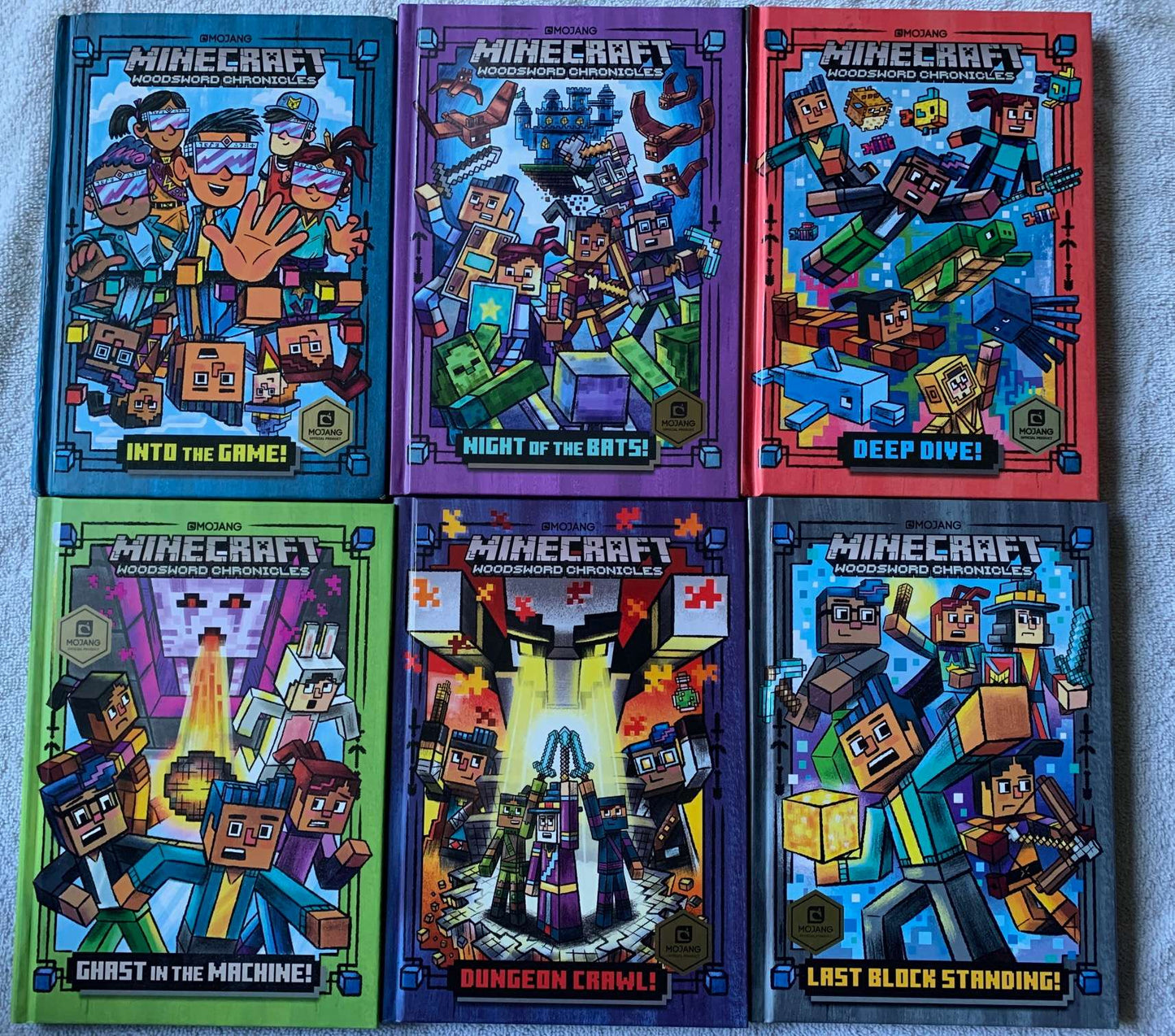 Minecraft Chapter Book Set, Like New