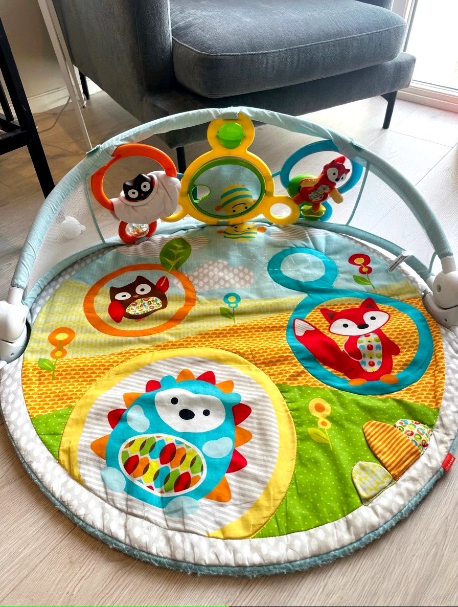 Skip Hop Amazing Arch Activity Gym