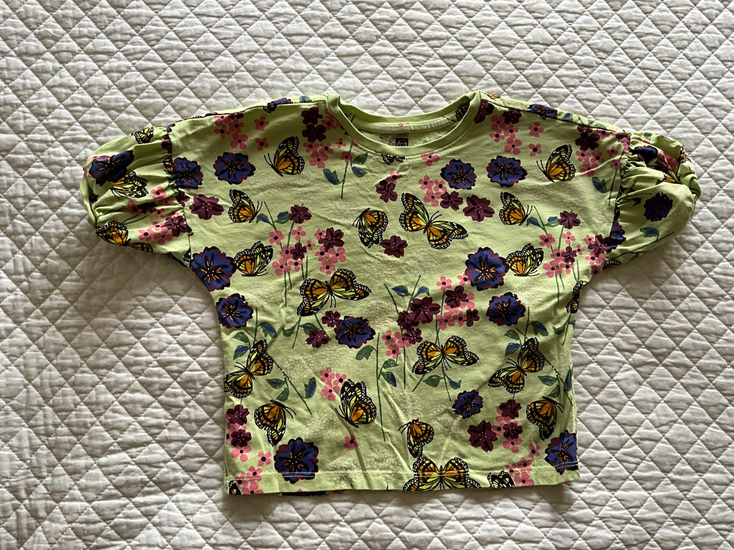 TEA Girls Butterfly/ Floral Cotton Short $ T Set (Size 6), Kids 6/6X (extra small)