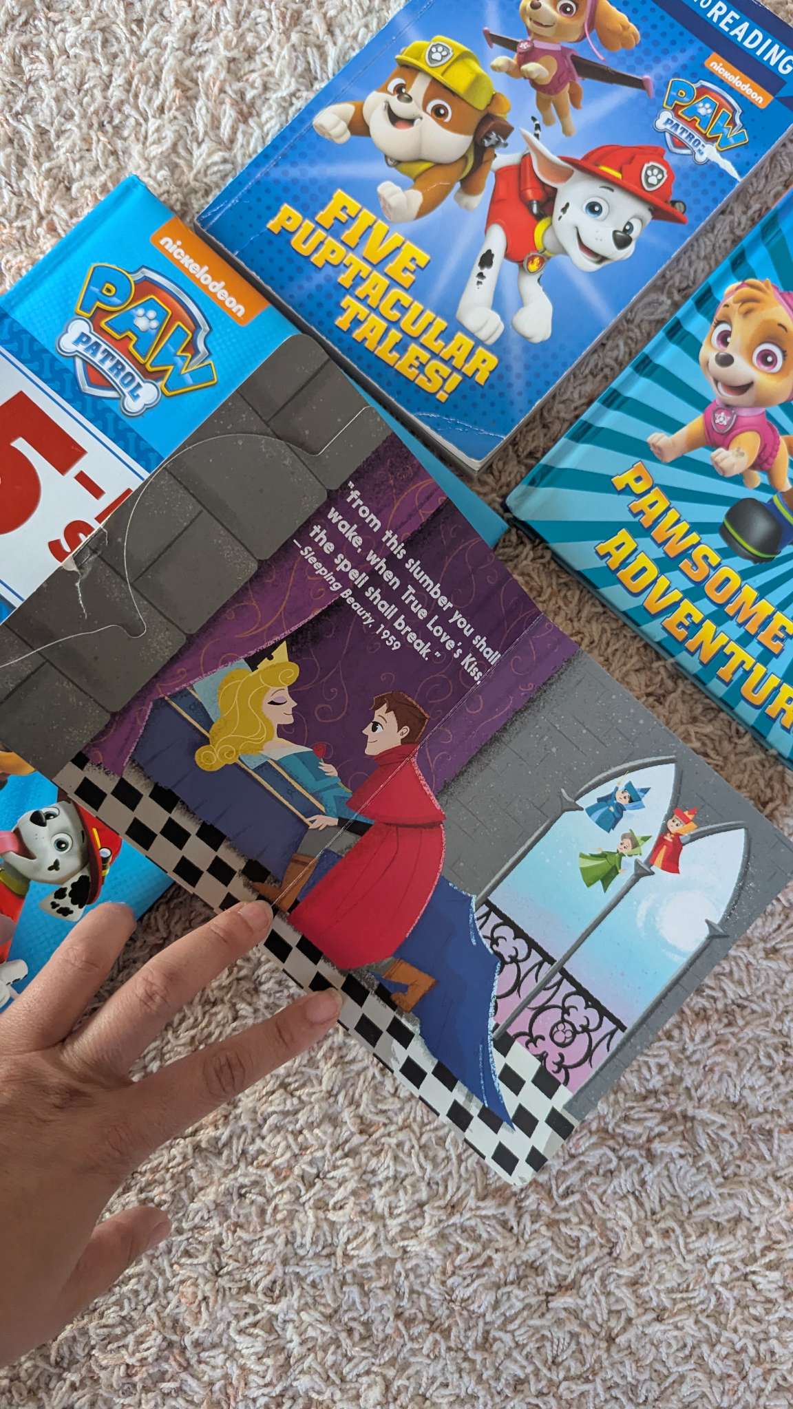 4 books - 3 Paw patrol books + 1 Disney book