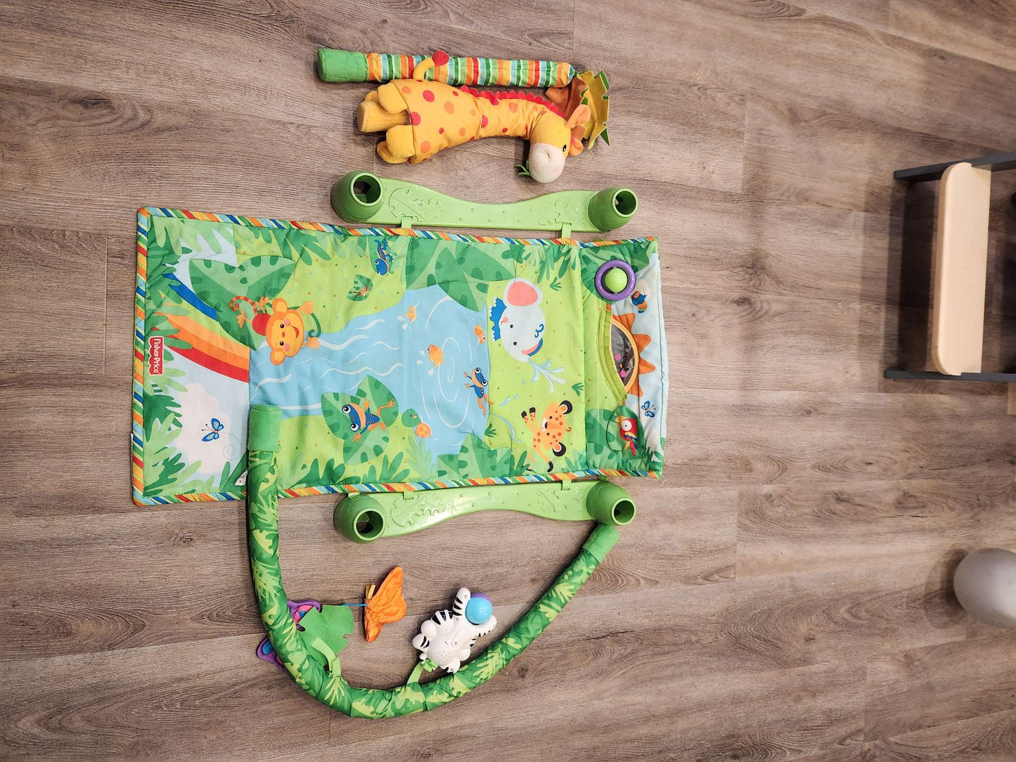Fisher Price Jungle Play Mat