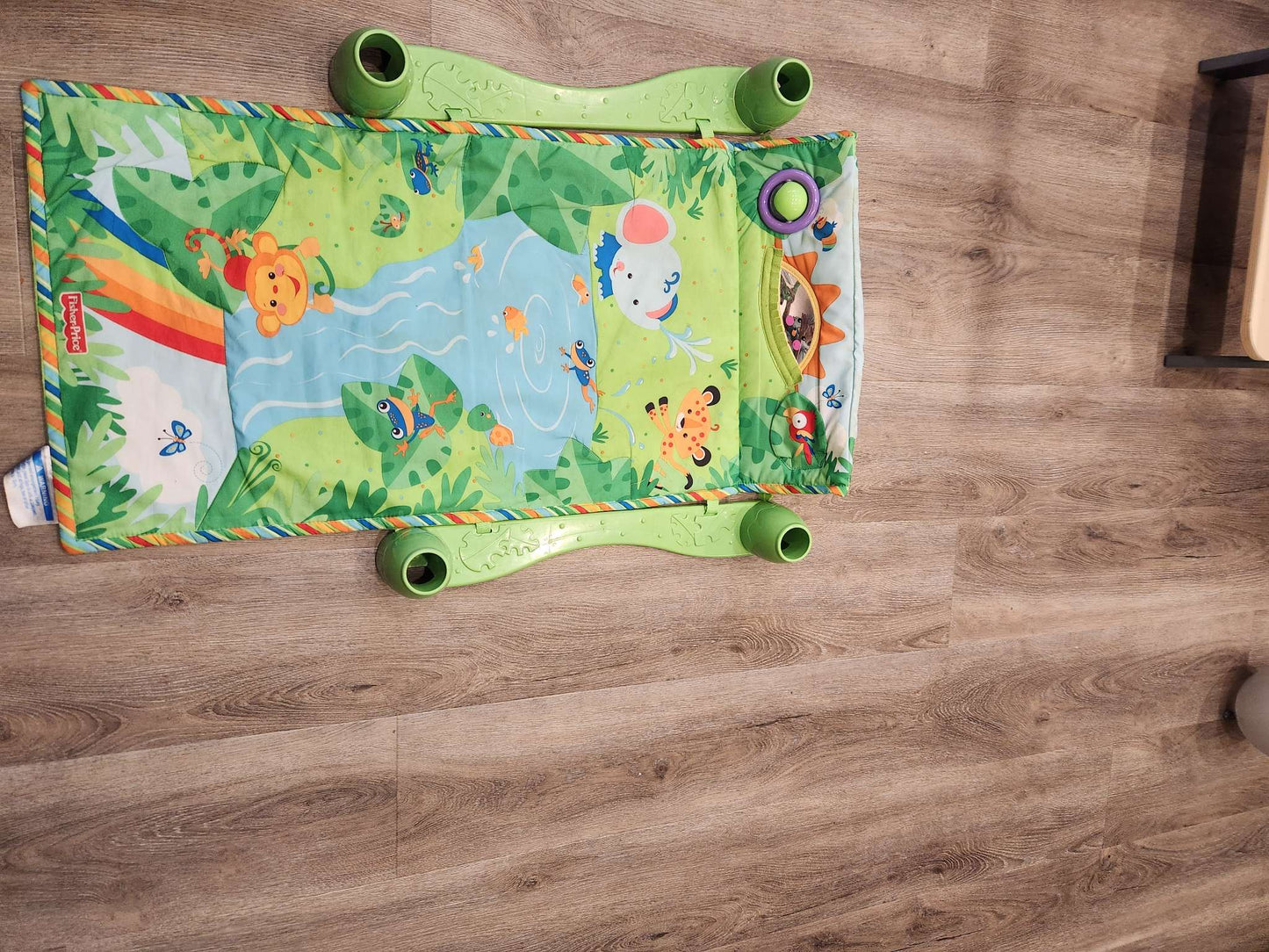 Fisher Price Jungle Play Mat