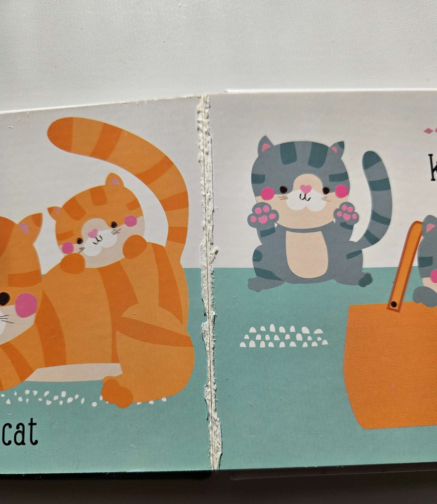 Petite Boutique set of 4 word books