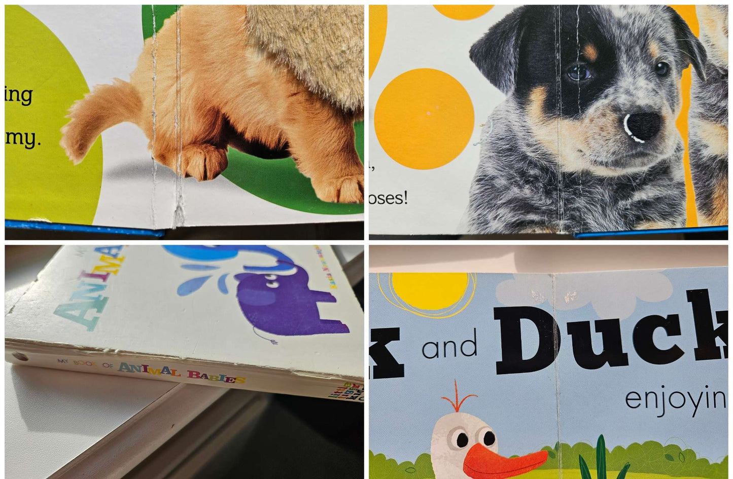 Set of 5 books (touch and feel puppy, my book of baby animals, Baa Baa, Raccoons ready for bed, Mary had a little lamb)