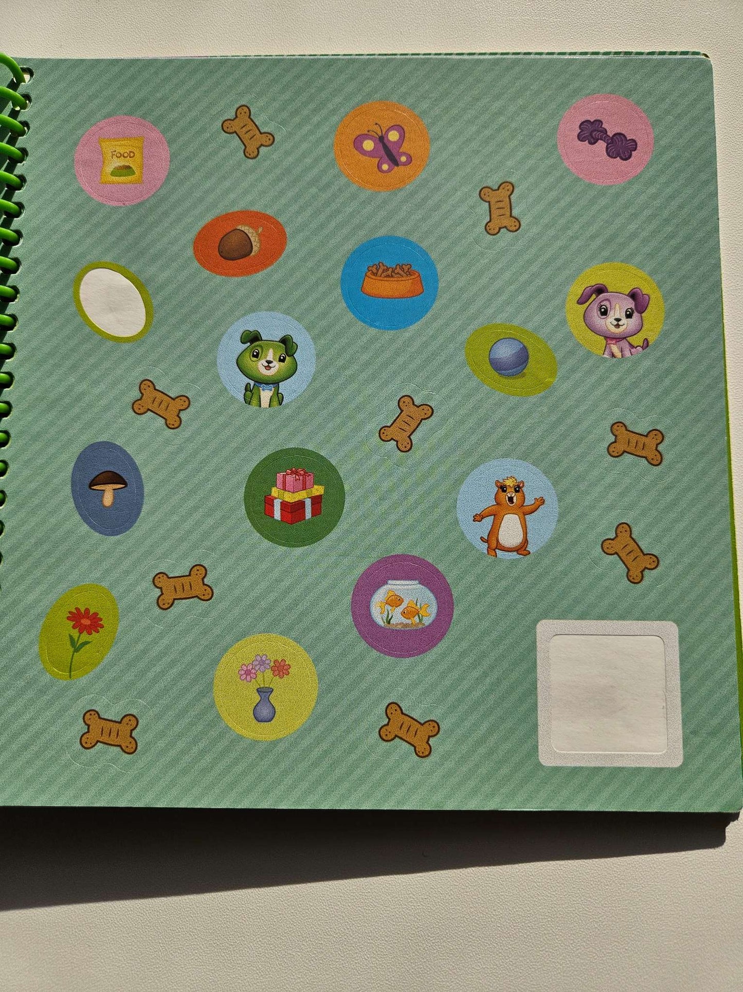 Leap frog books