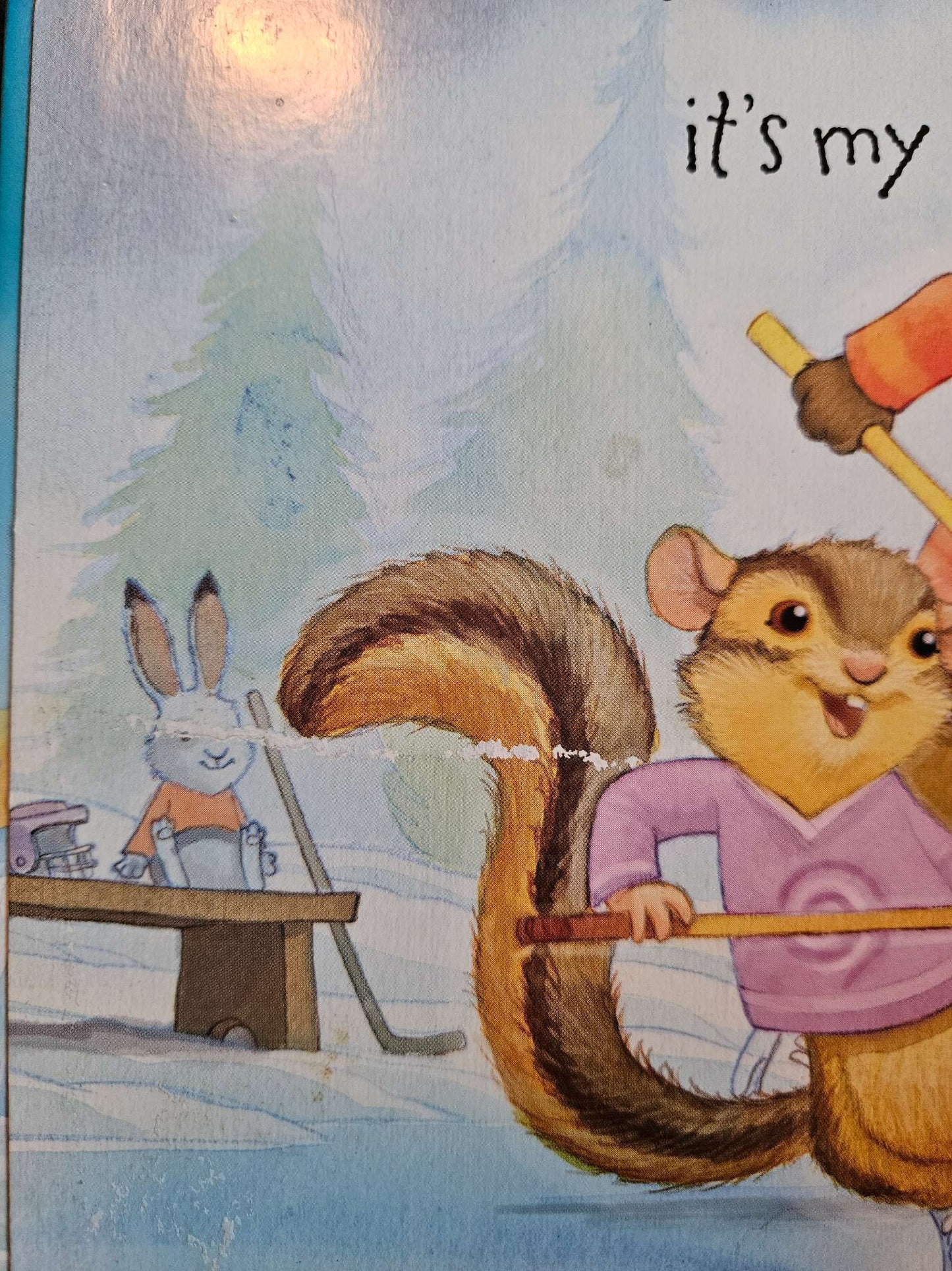 Silly Sam Squirrel, Why I love hockey, Buster goes to cowboy camp, Bernenstein Bears Valentine Blessings Books