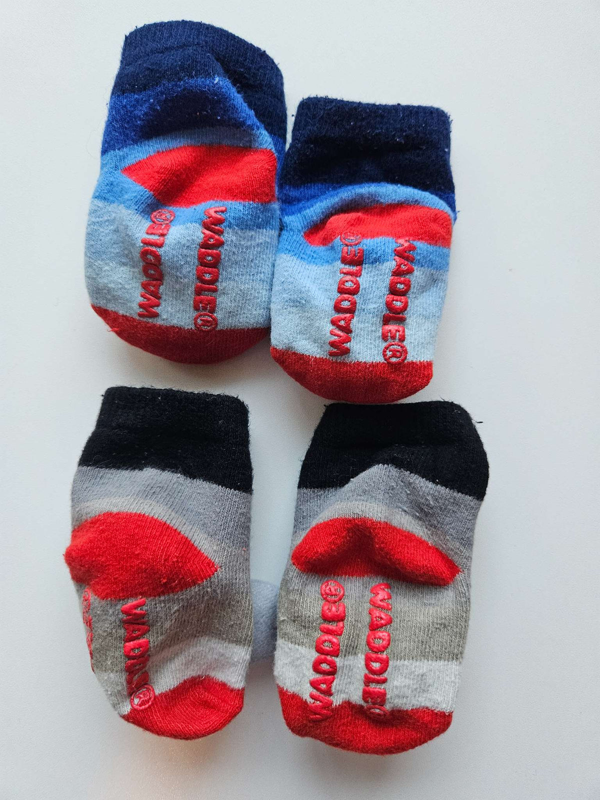 2 pairs of Waddle shark rattle socks MSRP $29.99