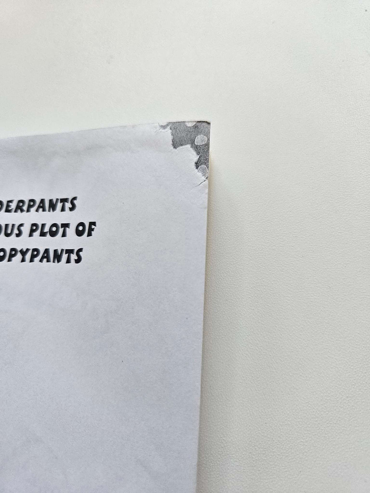 Captain underpants chapter book