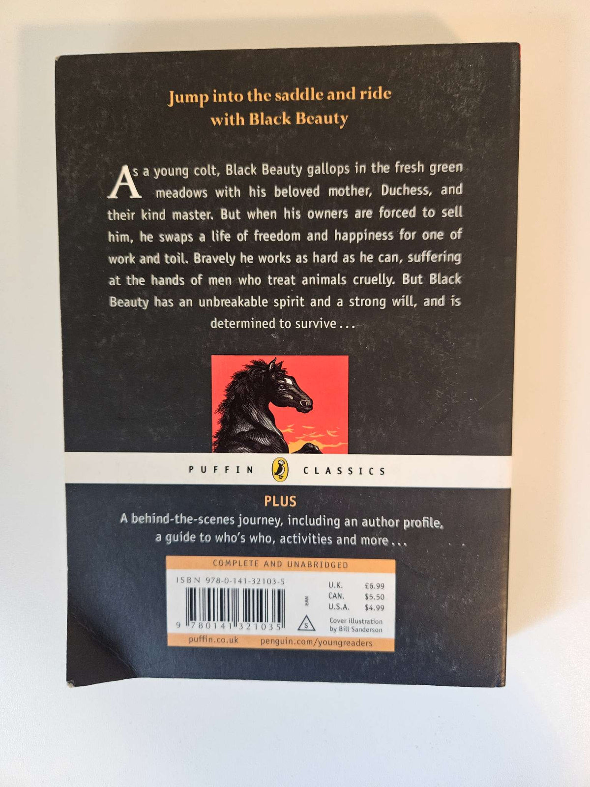 Black Beauty chapter book