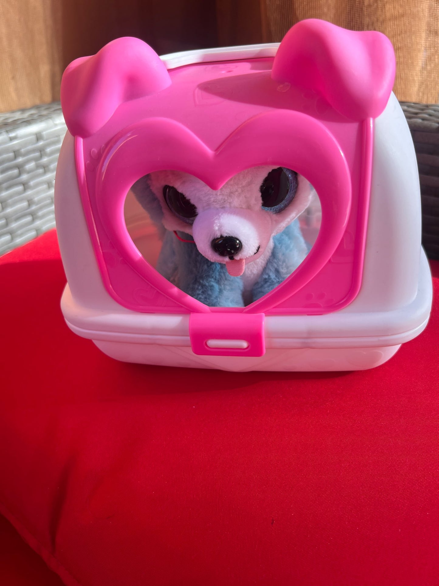 Girl’s Puppy Toy