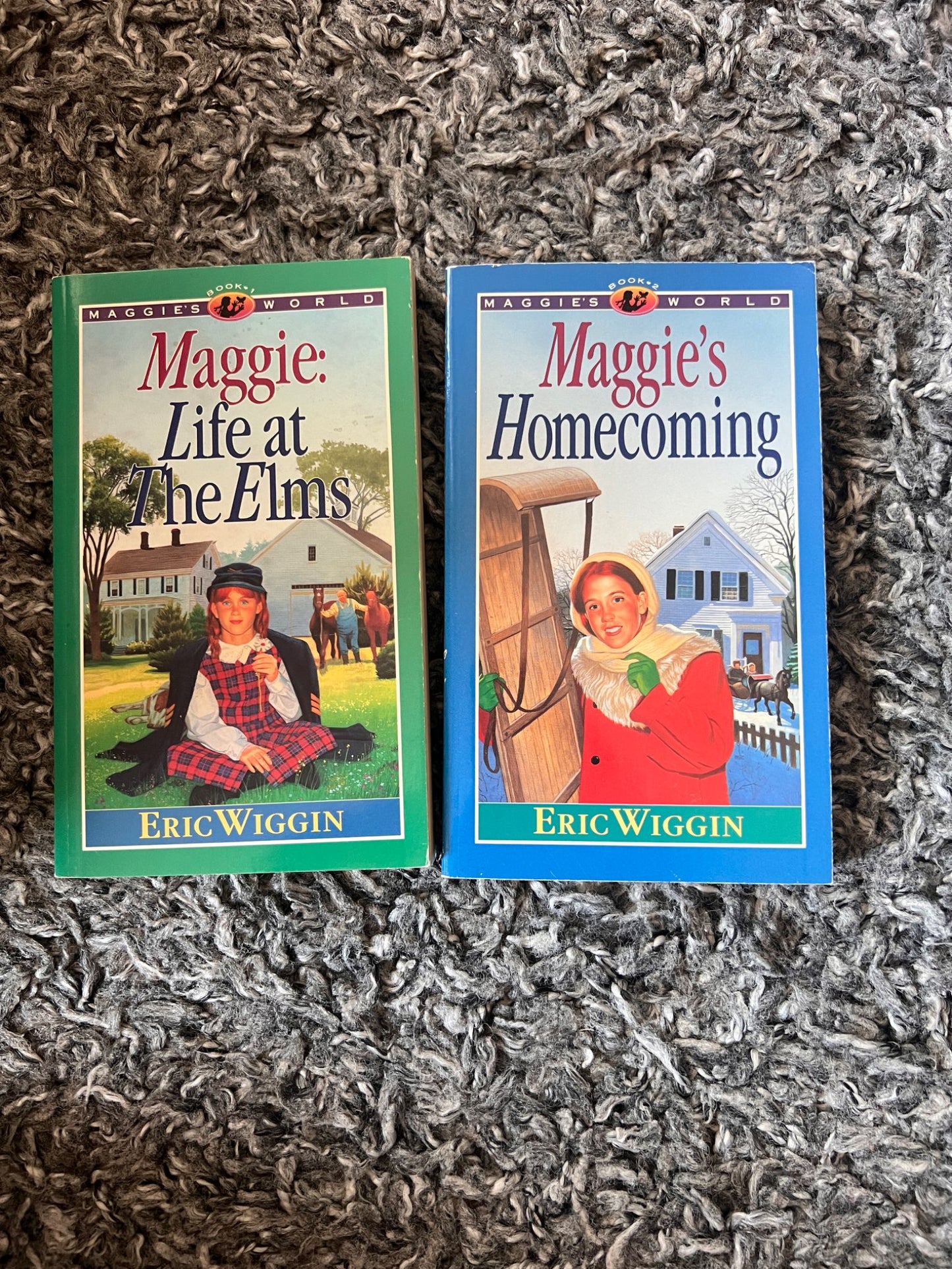 Mixed Bundle Maggie Chapter Books