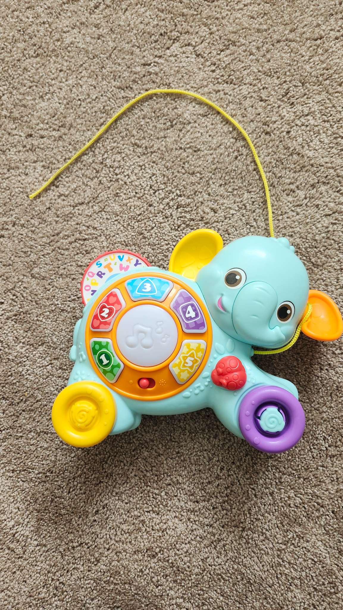 Baby Pull Toy