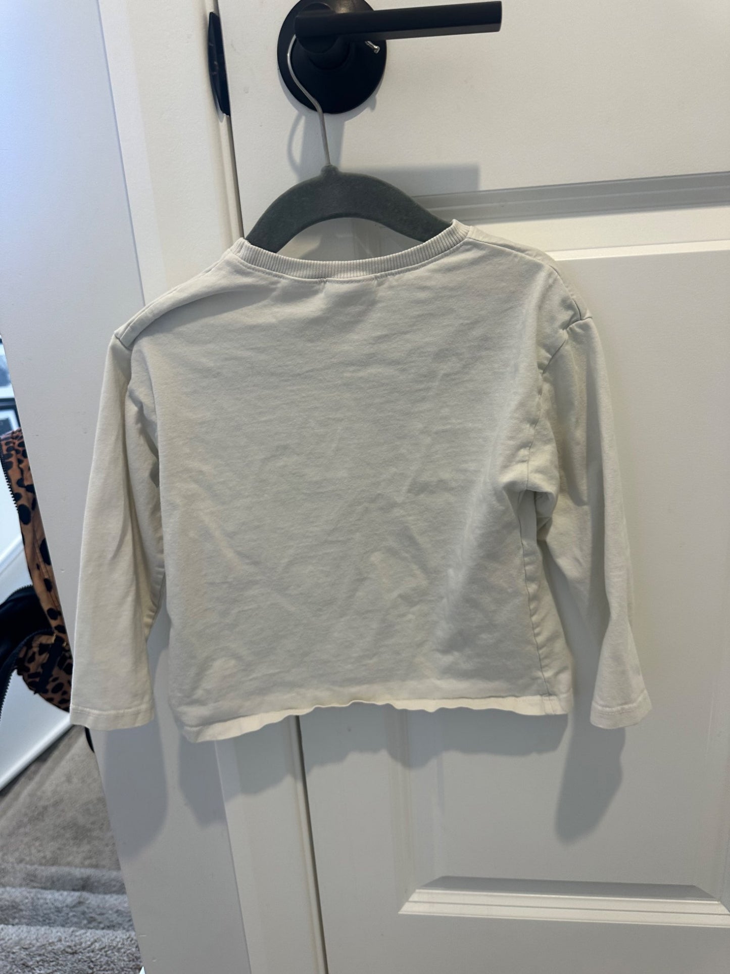 Zara Long Sleeve Graphic Tee 2-3 Year, Kids 2T