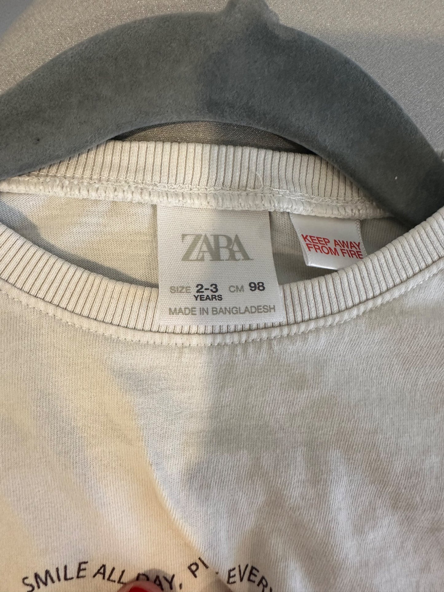 Zara Long Sleeve Graphic Tee 2-3 Year, Kids 2T