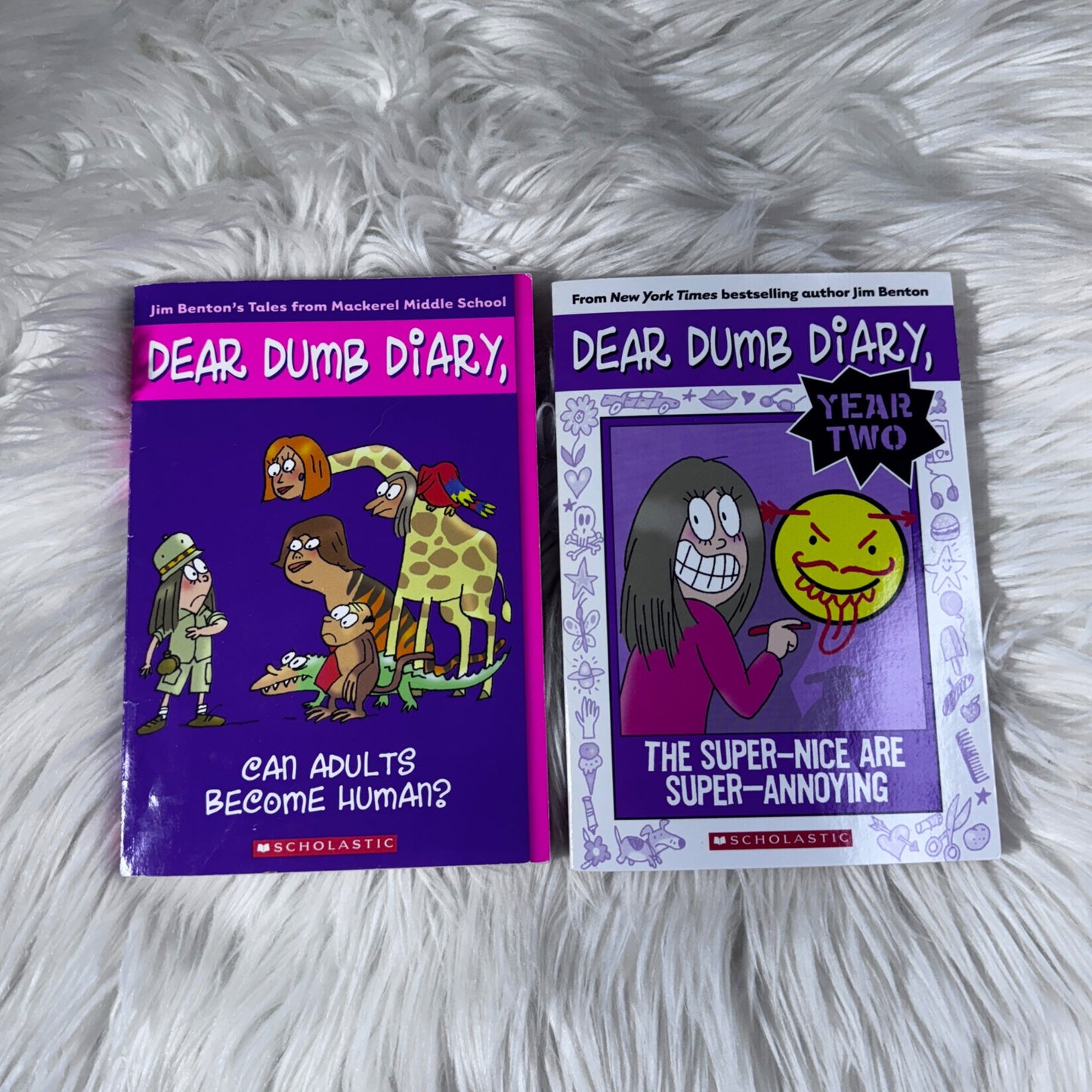 Dear Dumb Diary Set of 2