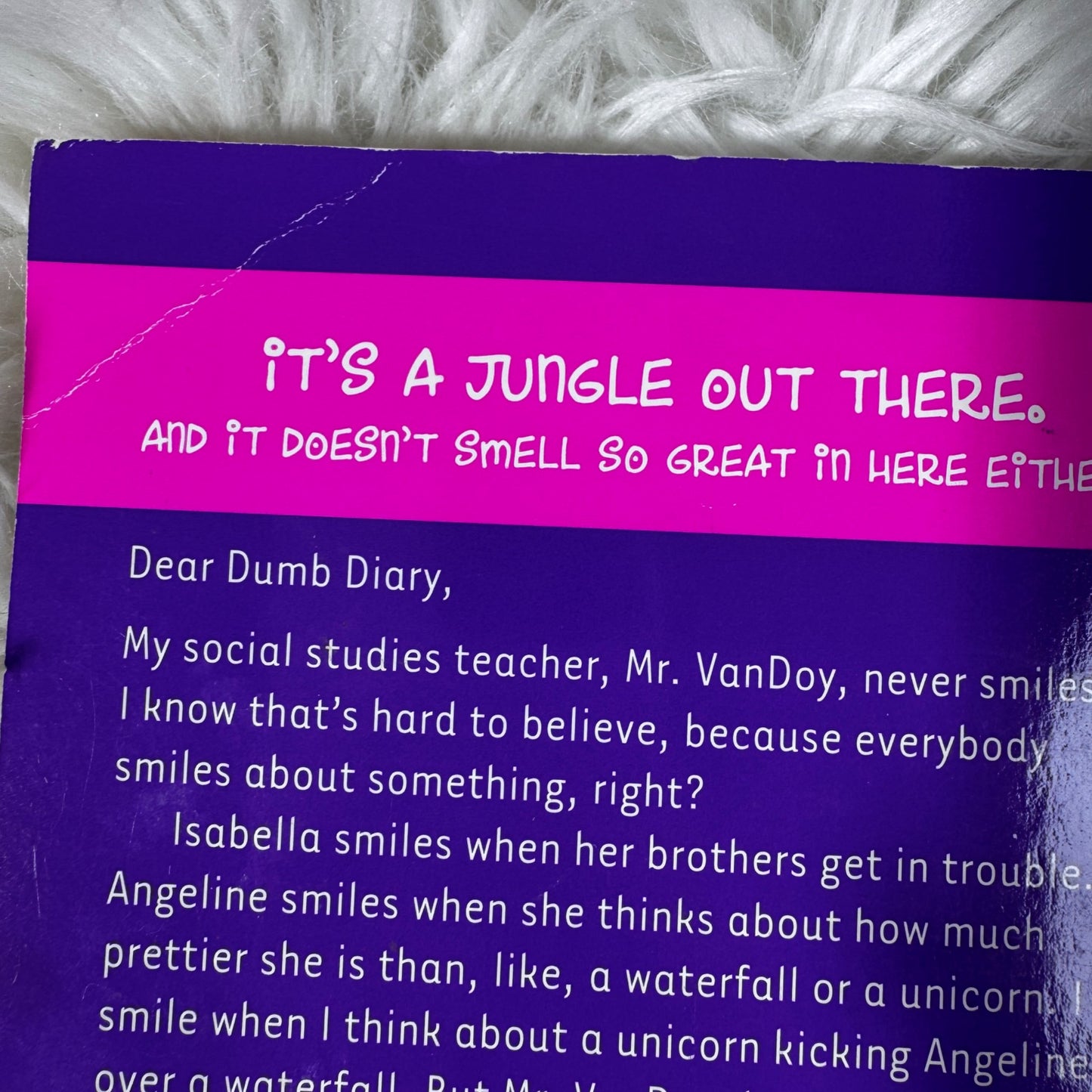 Dear Dumb Diary Set of 2