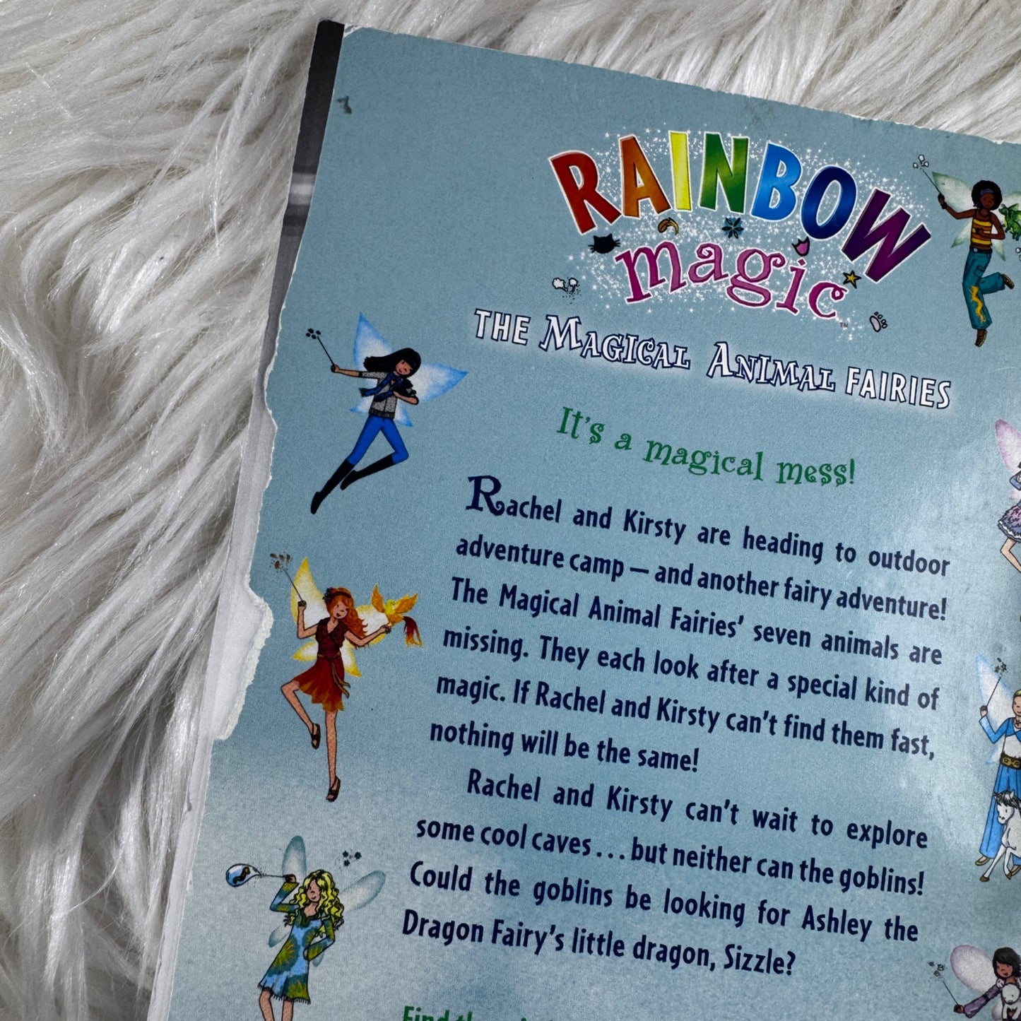 Rainbow Magic Set of 2 Books