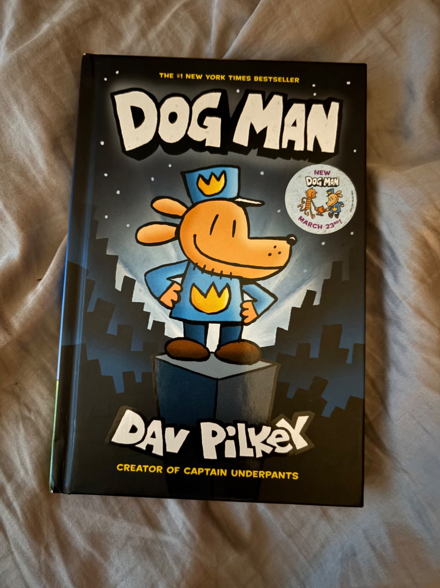 Chapter books