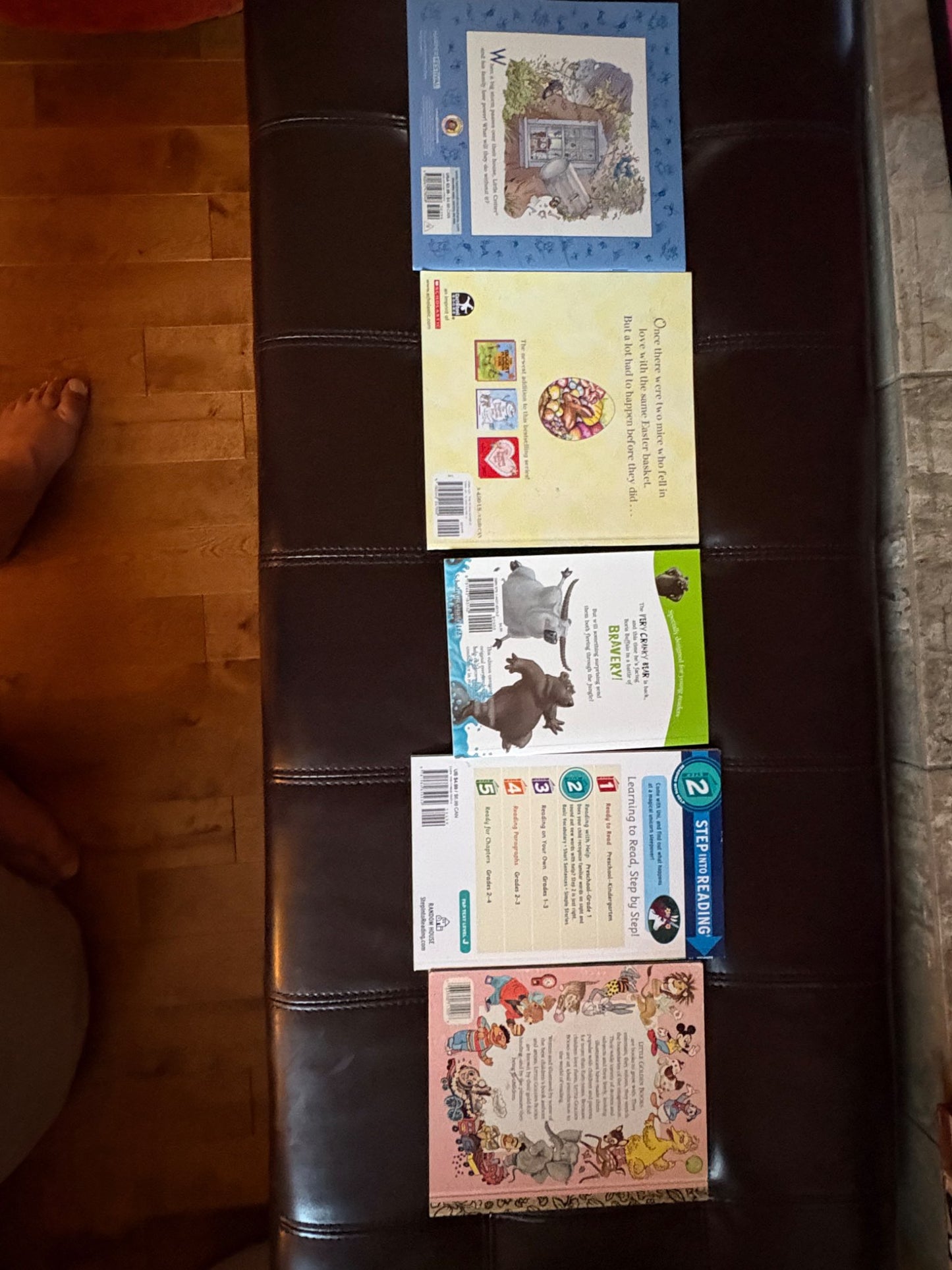 Level 2 reading books- ( grade kindergarten/grade 1) variety bundle