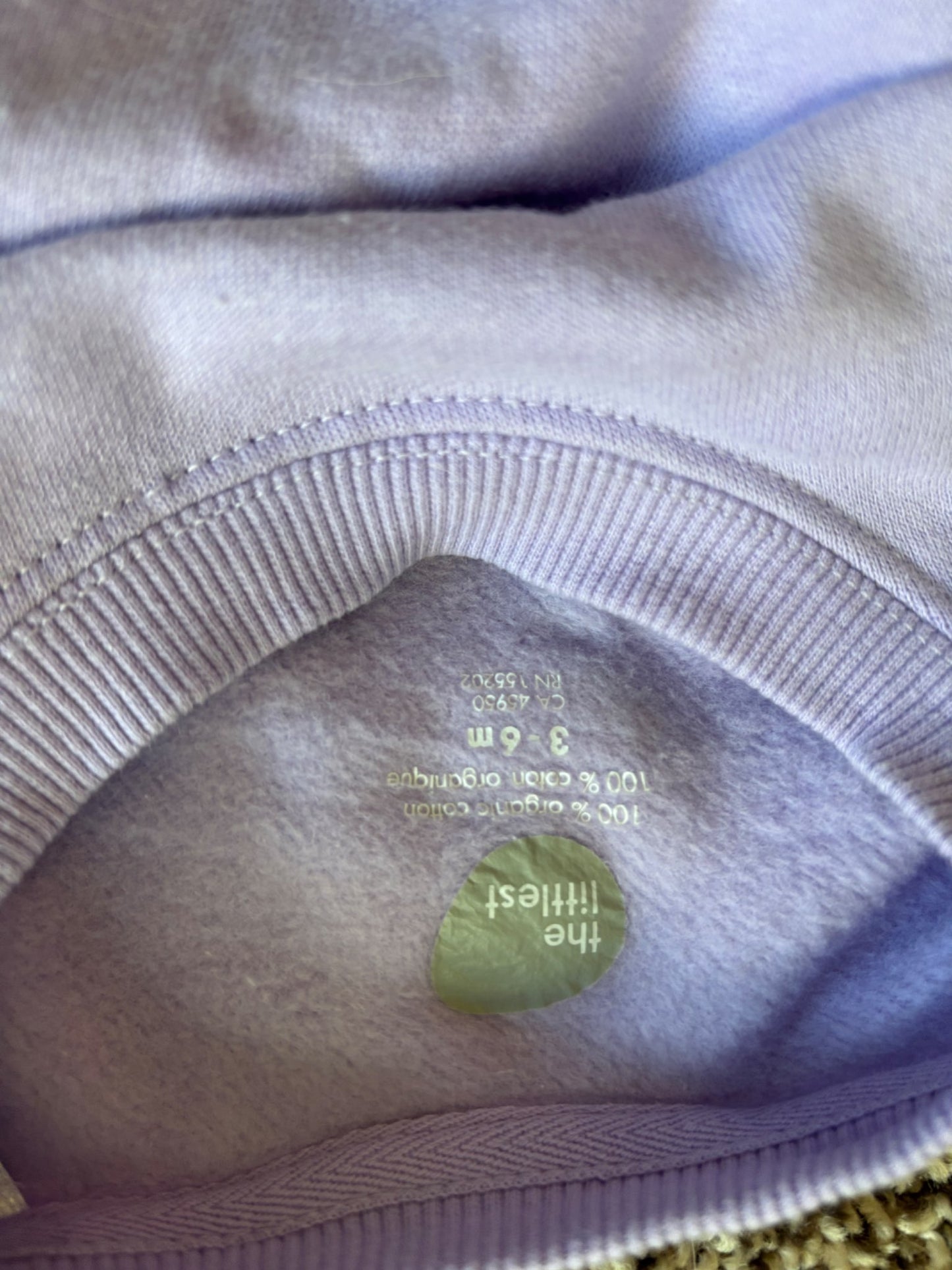 3-6 month, sweatsuit sweater and pants; purple , Kids 6 Month (3-6M)