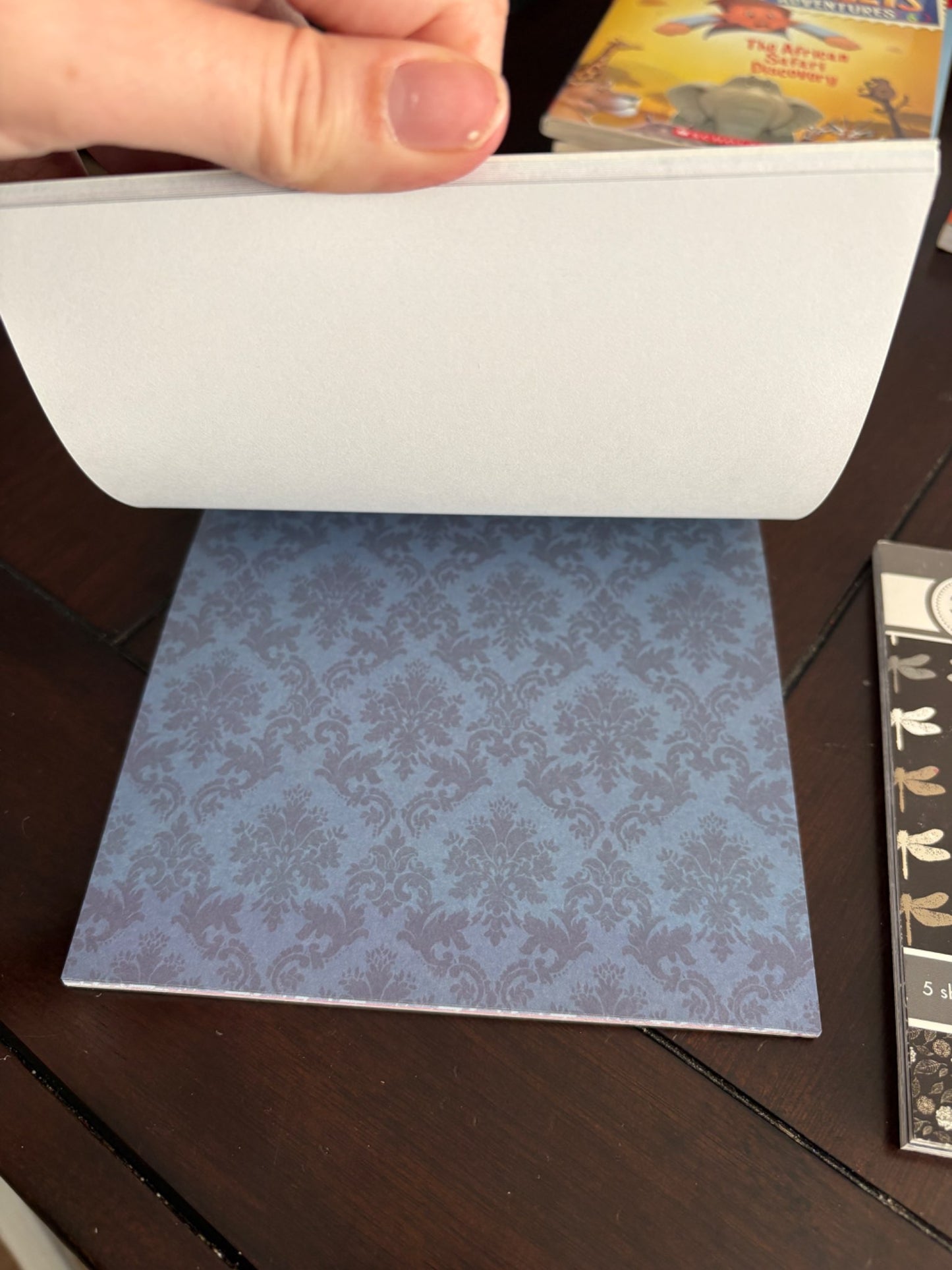 (NWOT) Set of 2 6 x 6 inch scrapbook paper pages (each 30 sheets)