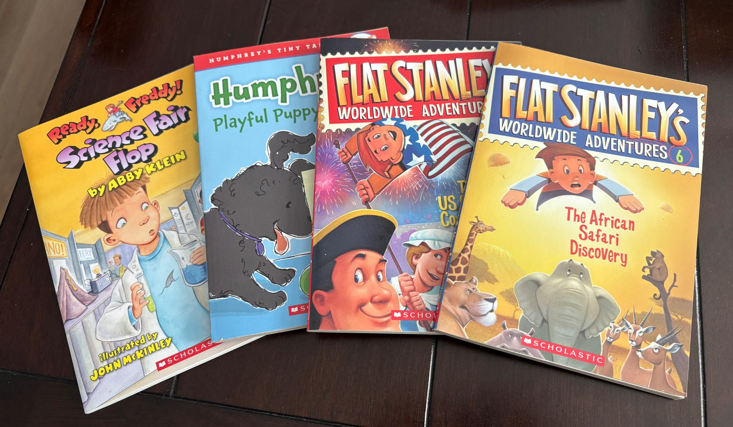 NWOT - Set of 4 Chapters books