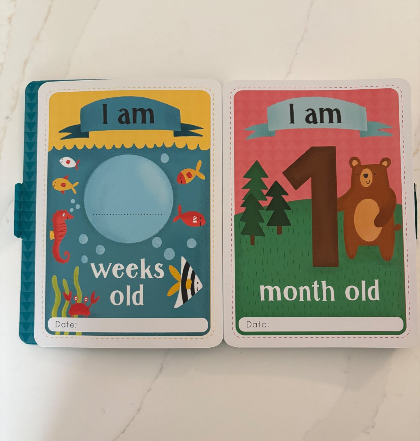 Baby's First Photo Cards