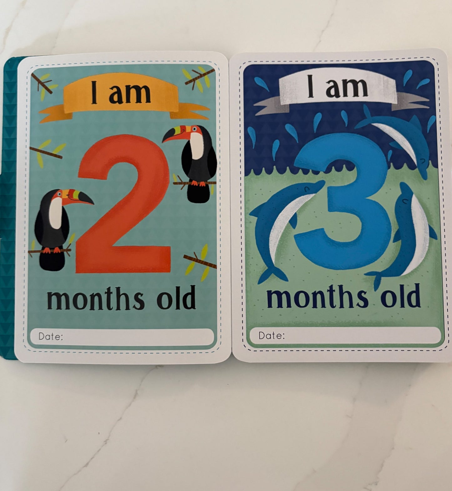 Baby's First Photo Cards