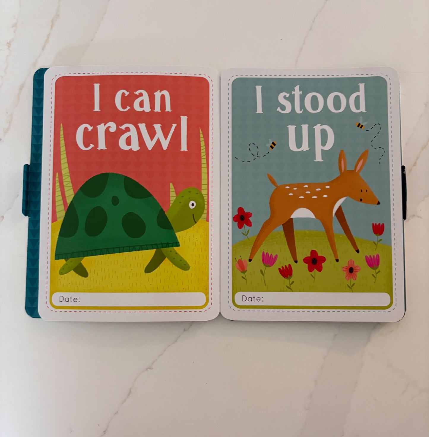 Baby's First Photo Cards