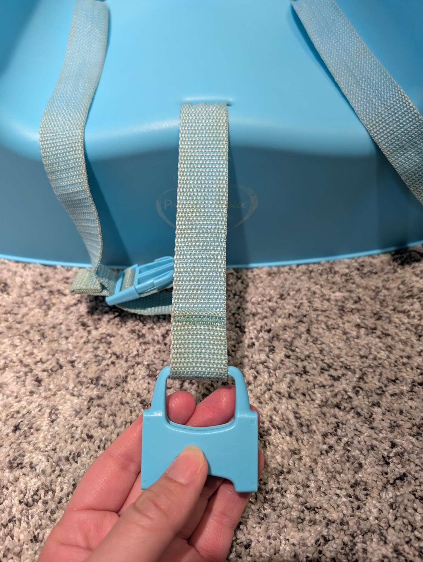 Parents Choice Booster Seat
