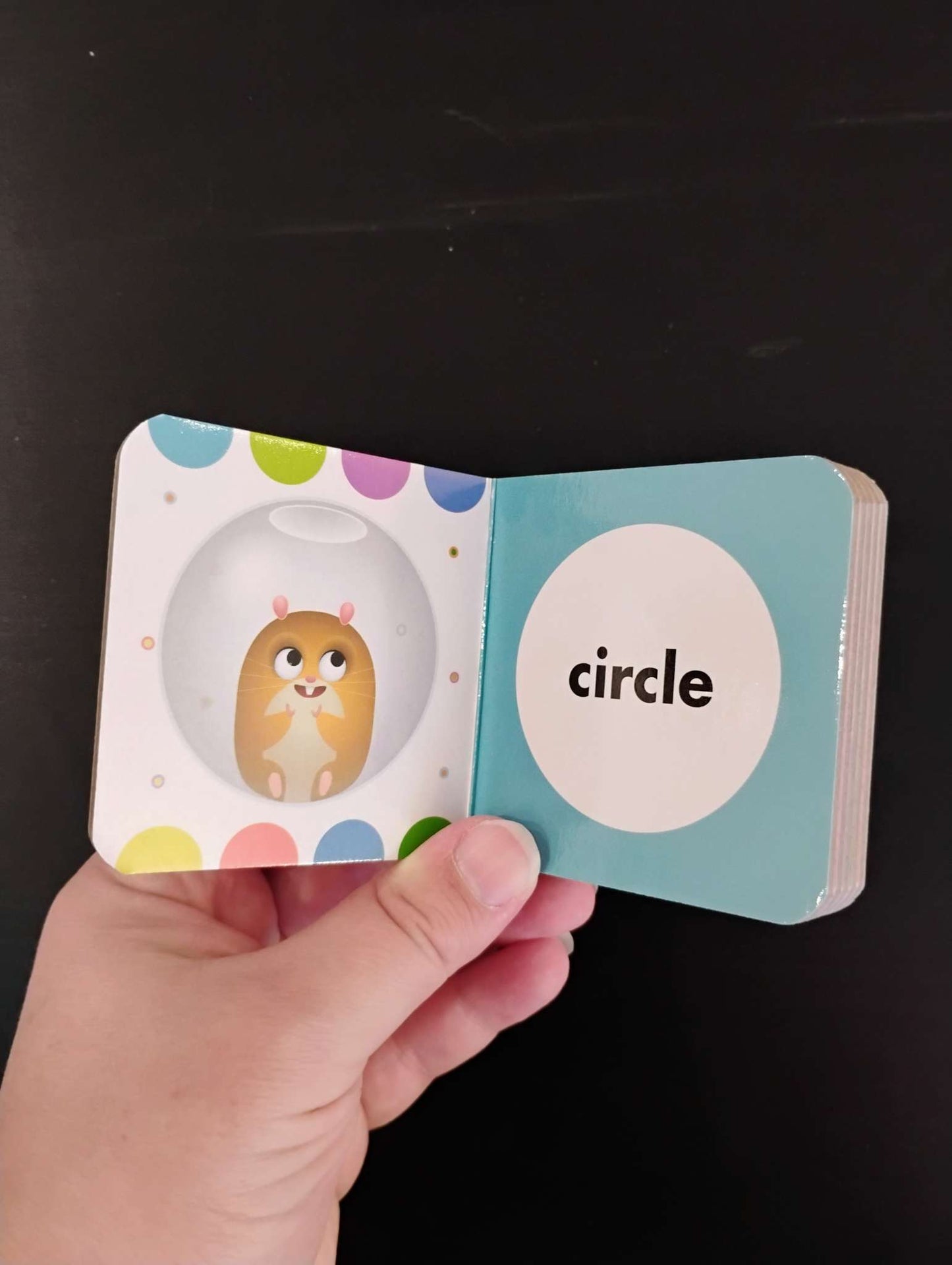 Disney Baby Board Book Block 12-Book Set